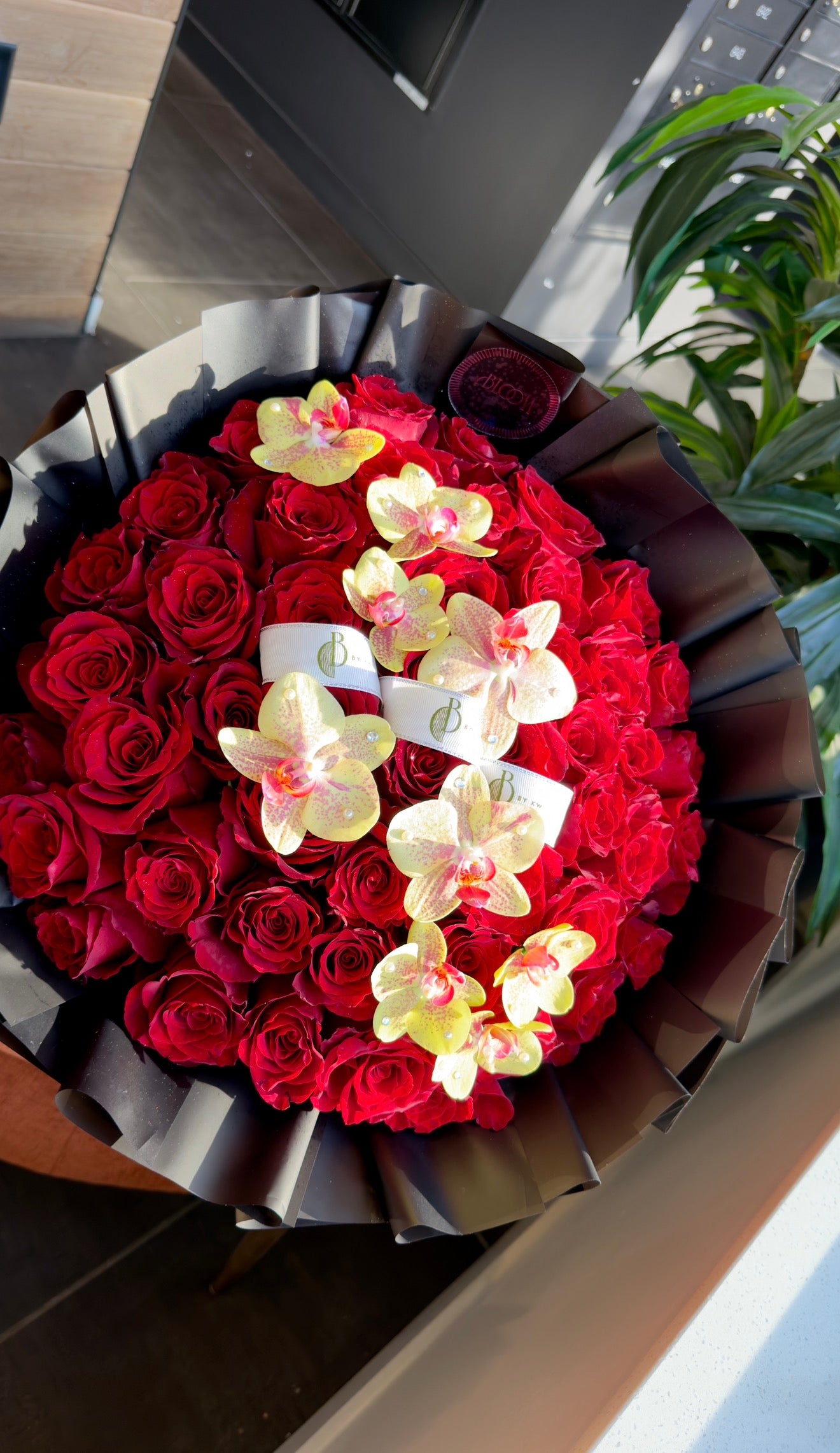 Red Blooms
