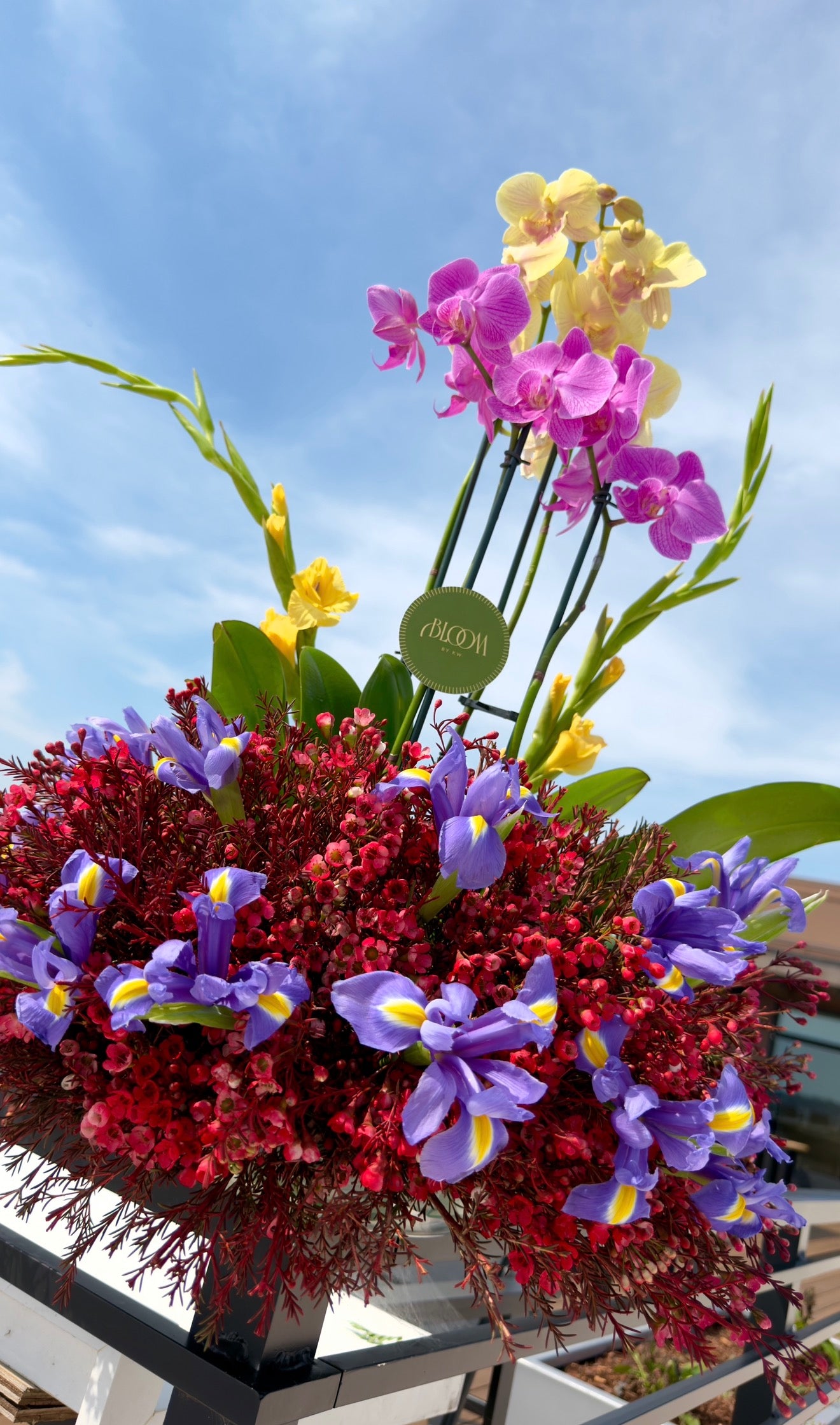 Orchid Garden Luxe