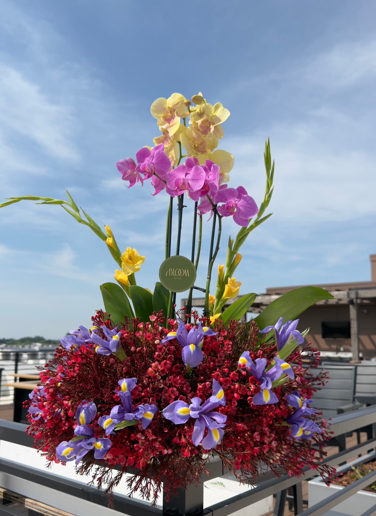 Orchid Garden Luxe